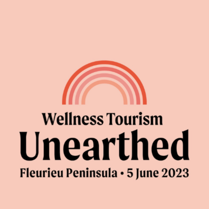 Spa Vision X Wellness Tourism Unearthed 