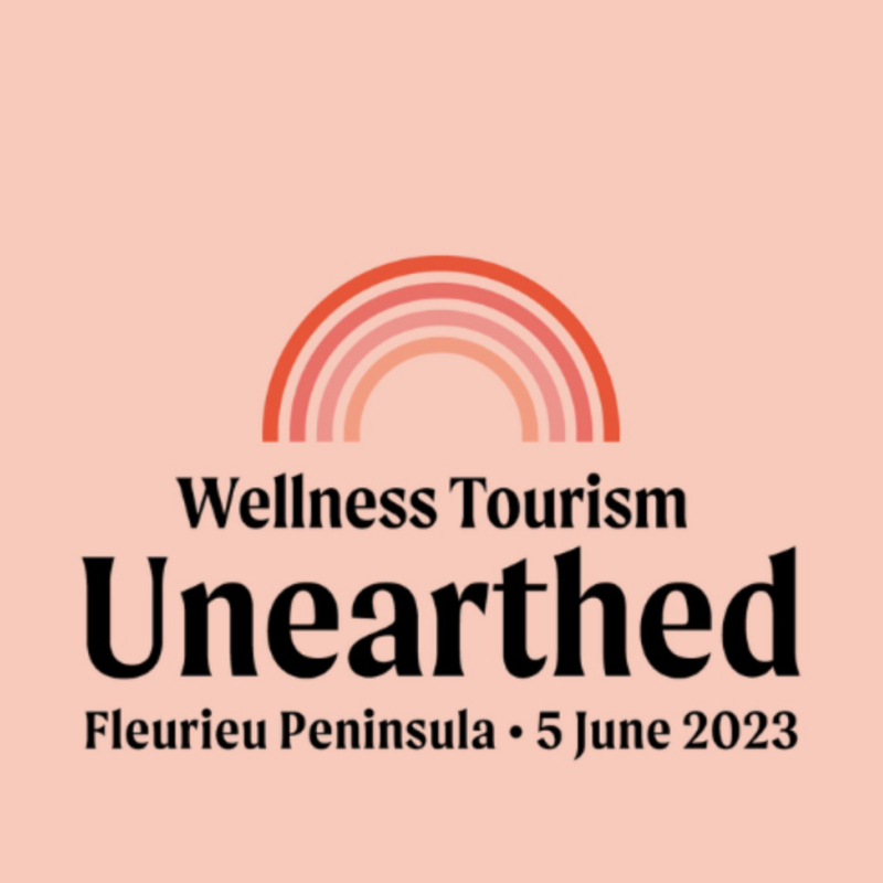 Spa Vision X Wellness Tourism Unearthed  